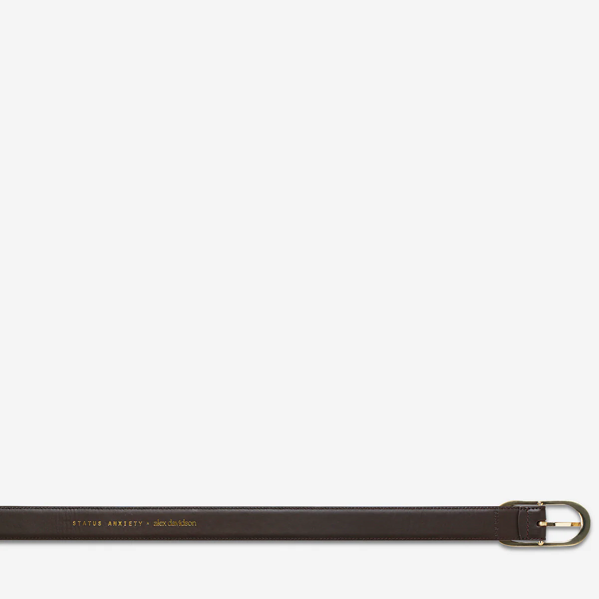Final Loop Belt - Choc Nappa/Gold - Image 6
